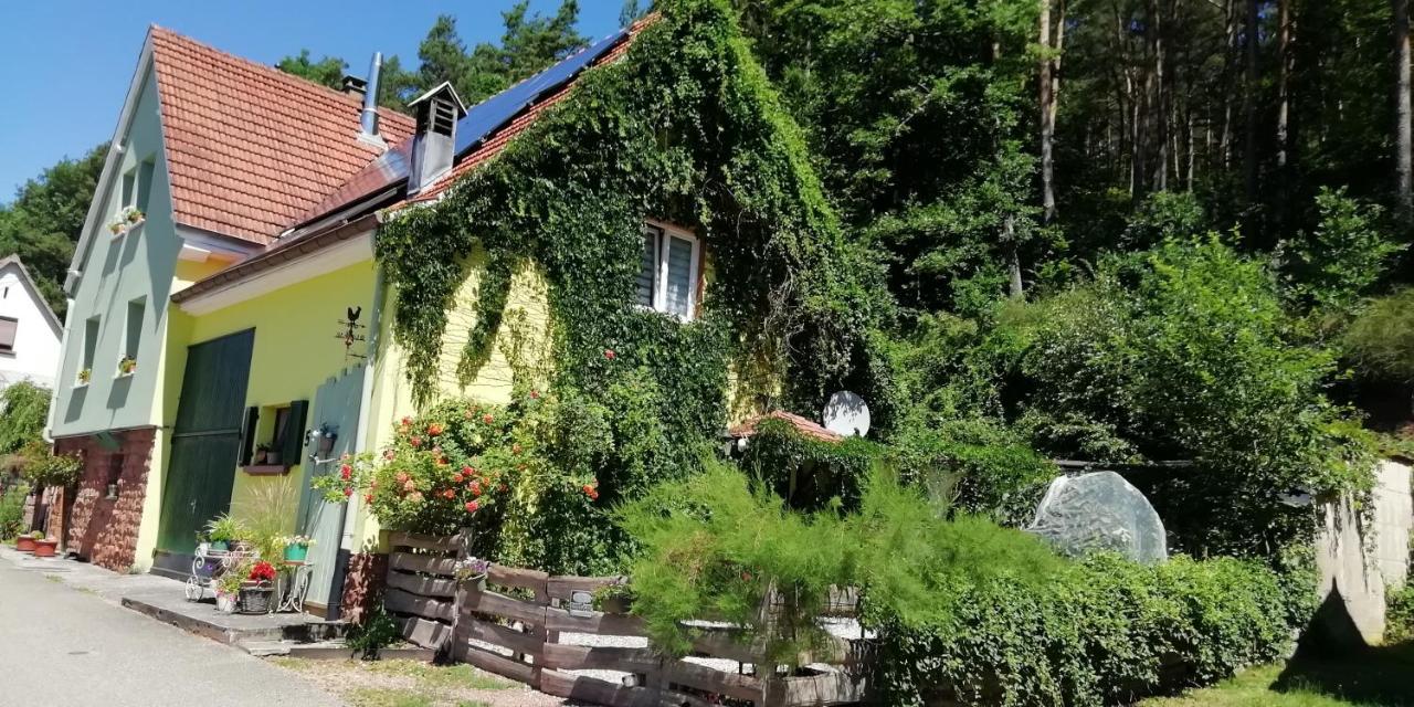 Violeta Villa Dambach Eksteriør billede